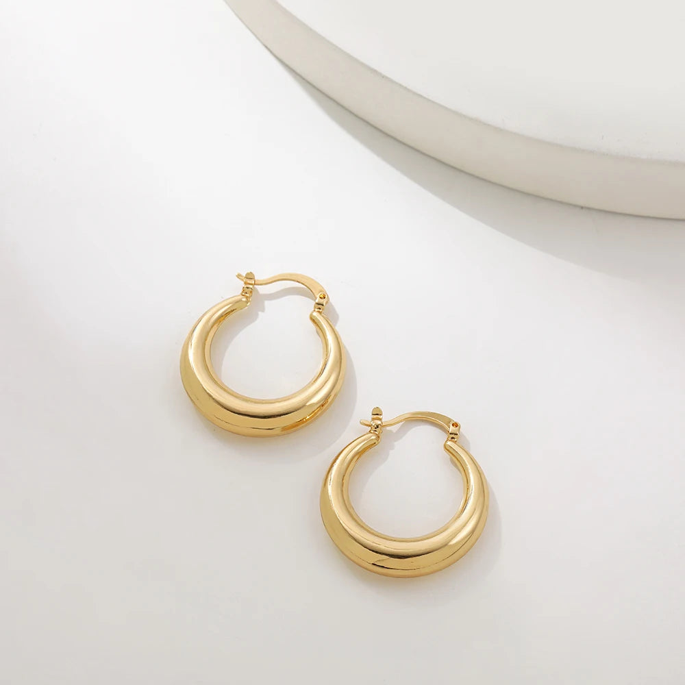 Gold Twisted Hoop Earrings