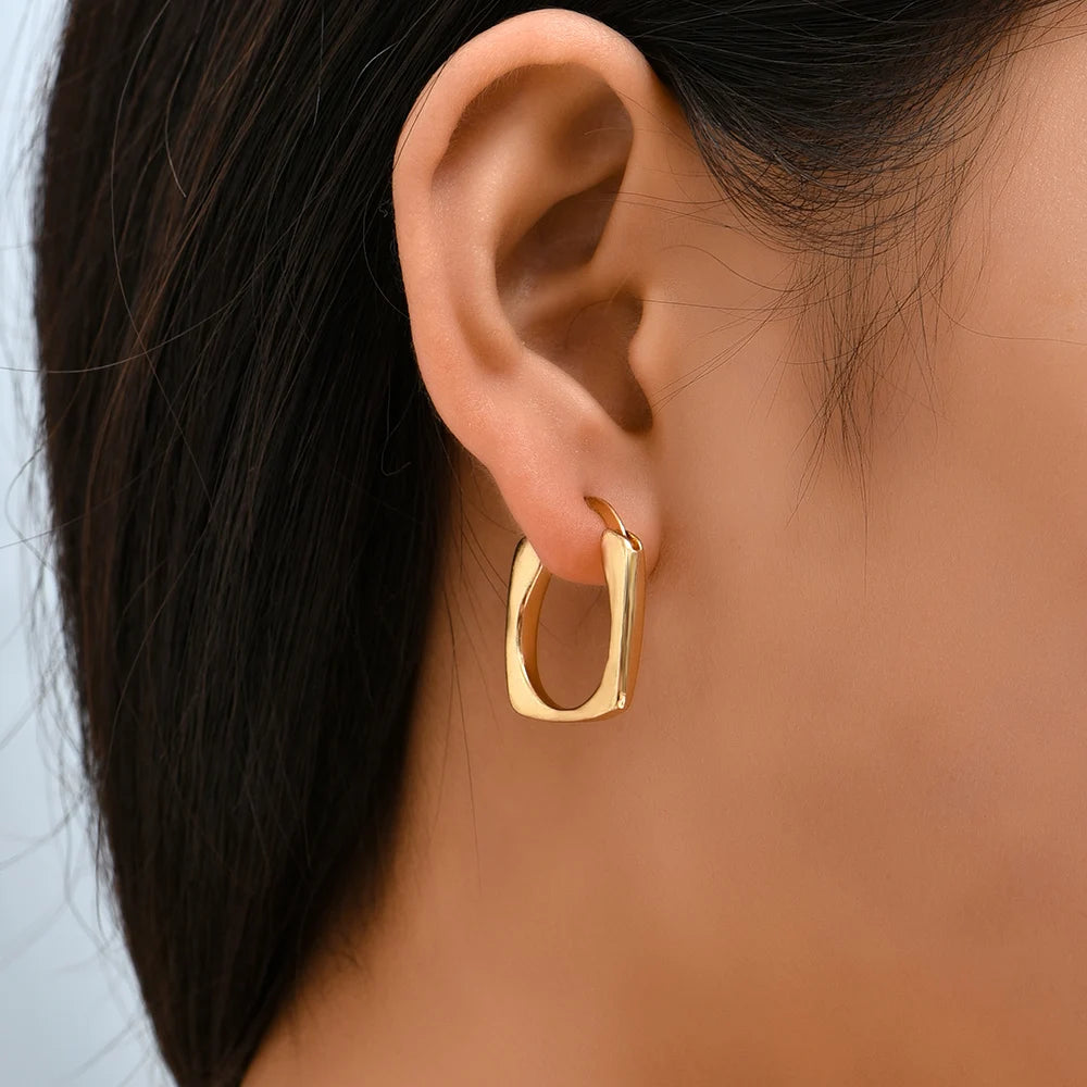 Gold Twisted Hoop Earrings