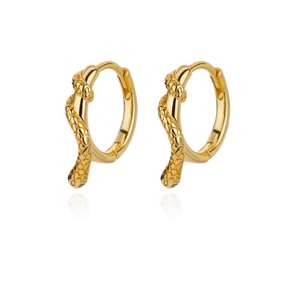 Golden/Silvery Multi-Shaped Hoop Earrings