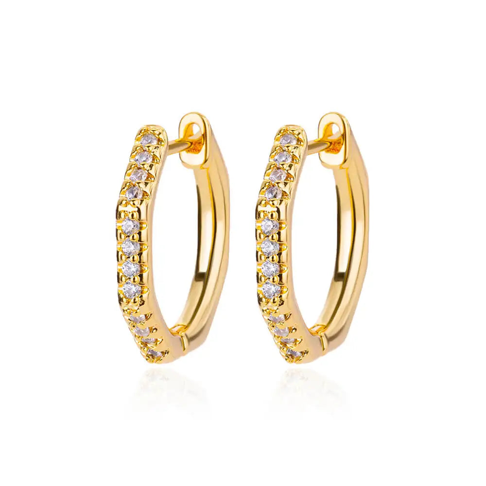 Golden/Silvery Multi-Shaped Hoop Earrings