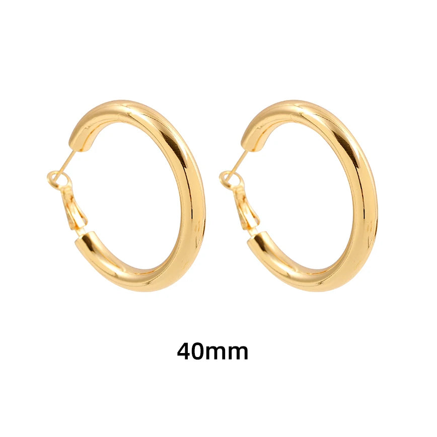 Gold Twisted Hoop Earrings