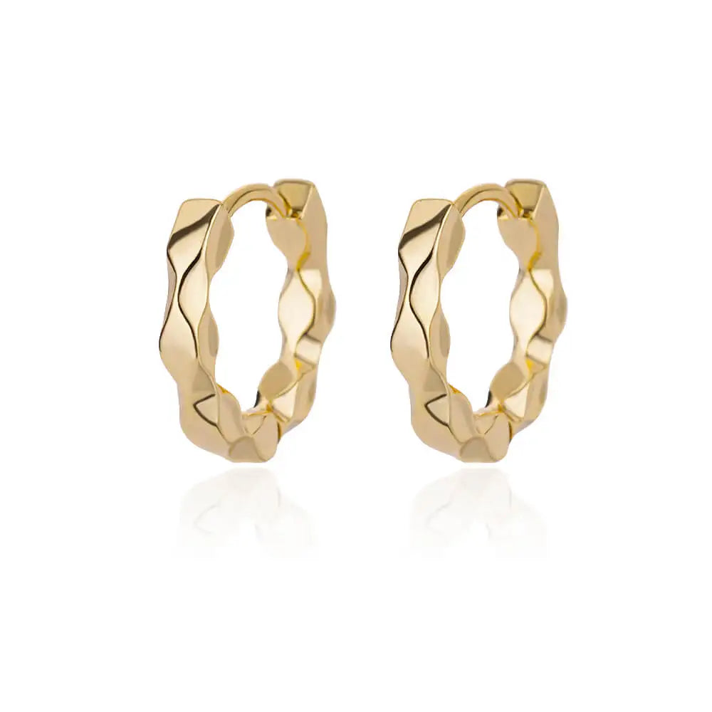 Golden/Silvery Multi-Shaped Hoop Earrings